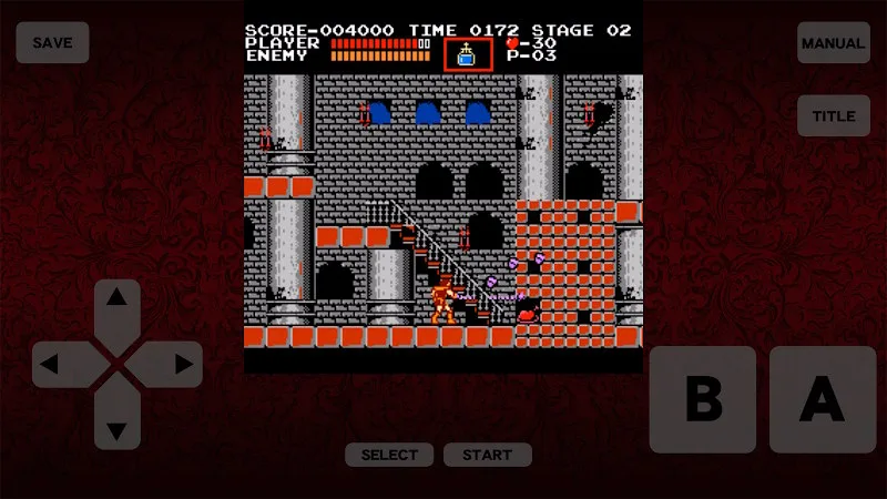 Castlevania: 40th Anniversary screenshot 2