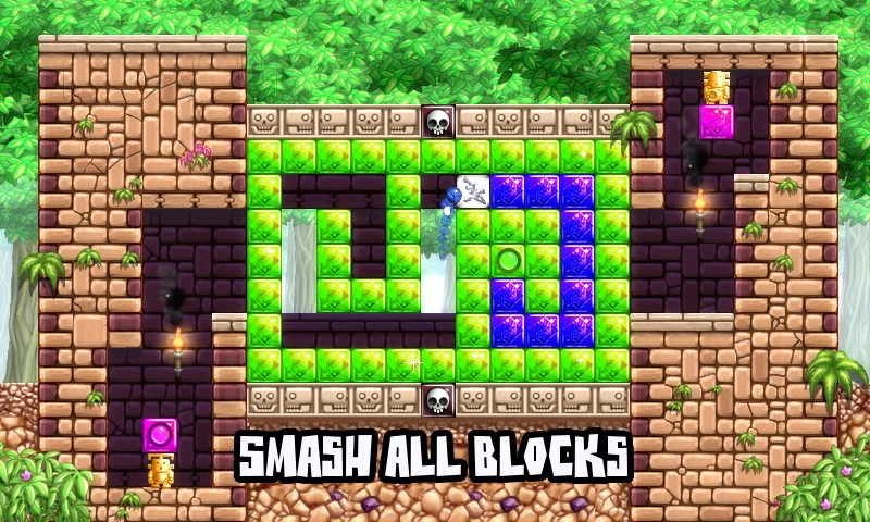 Blockadillo icon