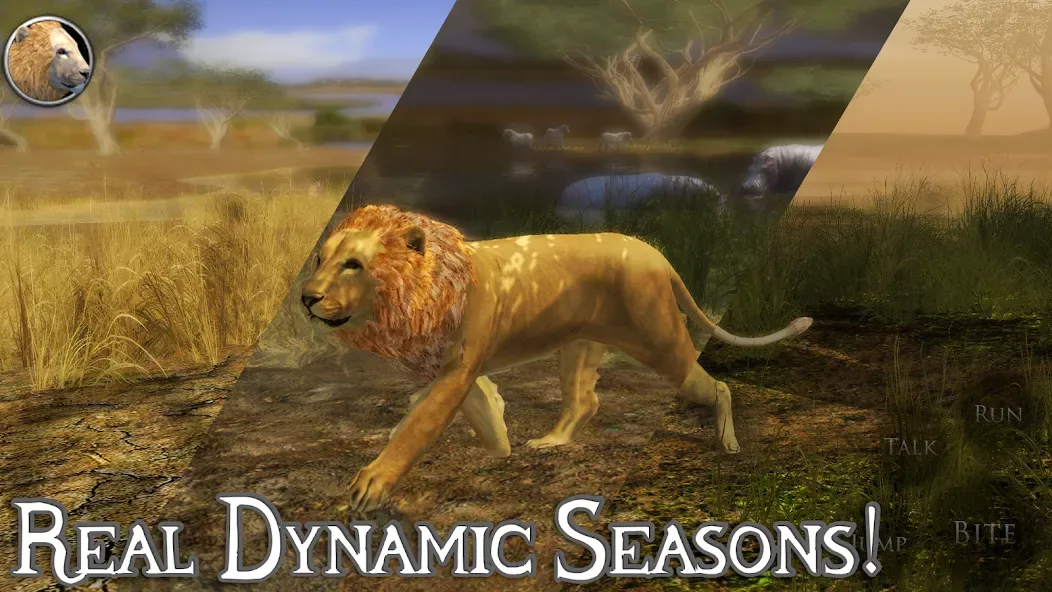 Ultimate Lion Simulator 2 screenshot 3