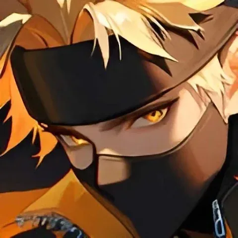 Ninja Heroes Newera icon