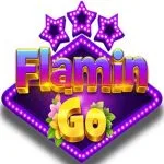 FlaminGo icon