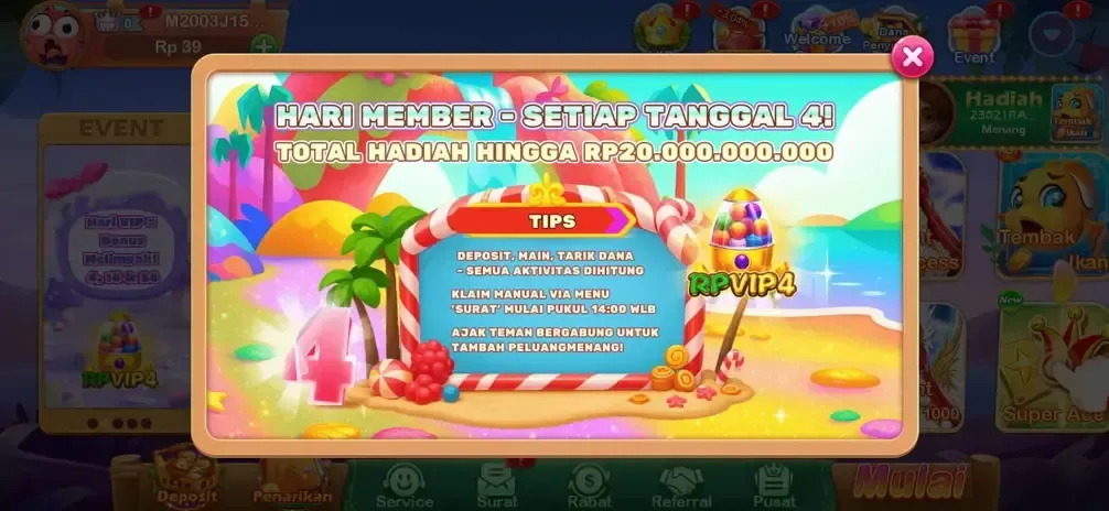 Rvip4 screenshot 4