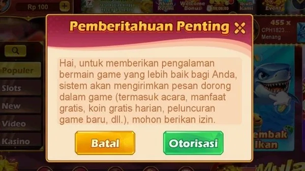 RSNVIP6 screenshot 2