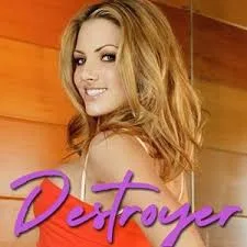 Destroyer icon