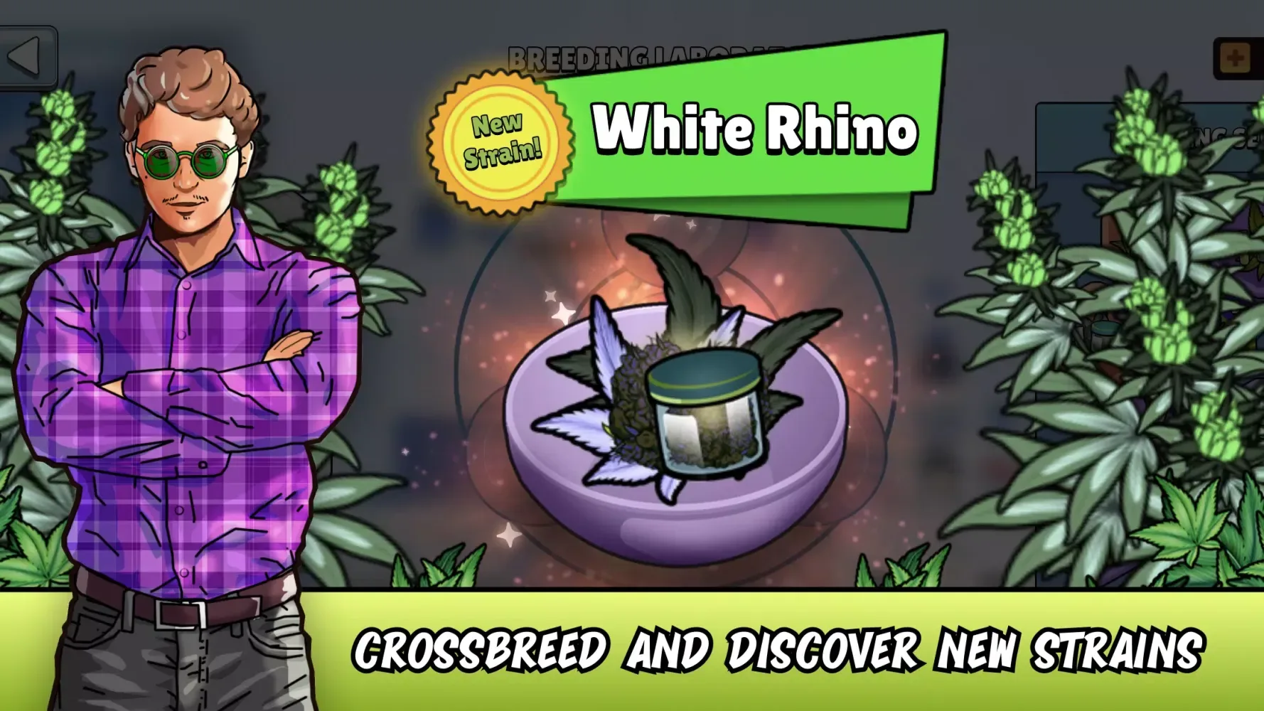 Weed City - Hemp Farm Tycoon screenshot 4