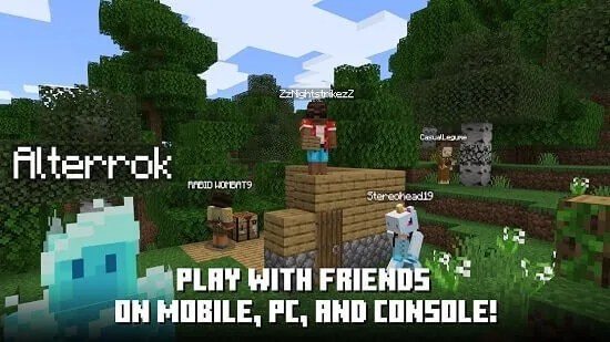 Multiplayer for Minecraft screenshot 5