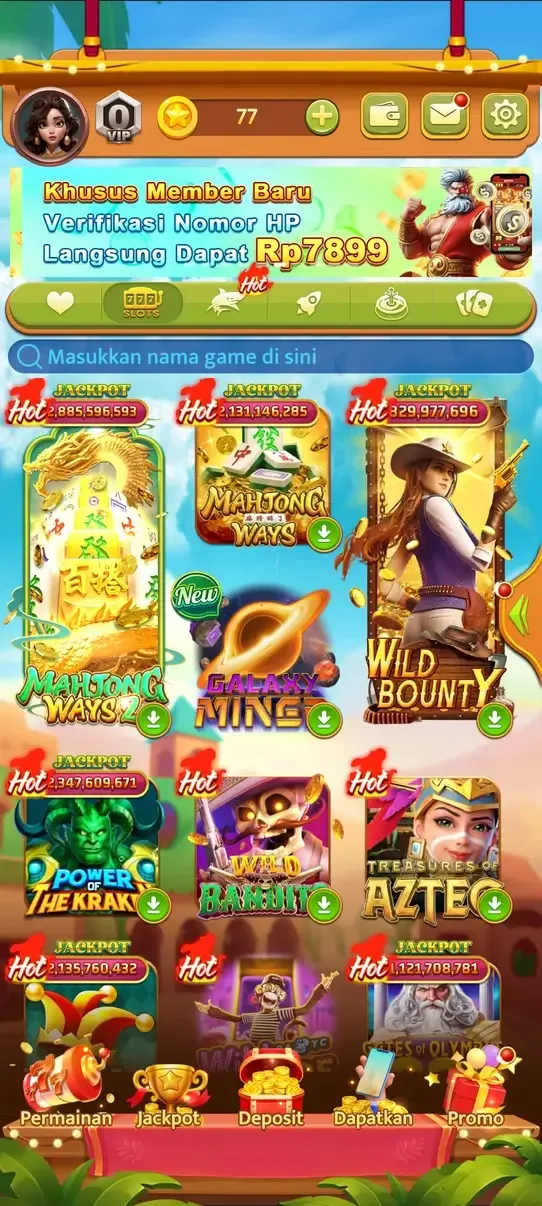IDN789 screenshot 4