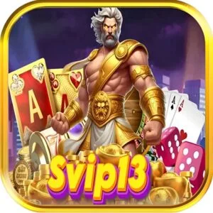 SVIP13 icon