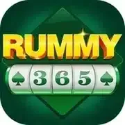 Rummy 365 icon