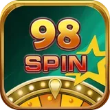 98 Spin icon
