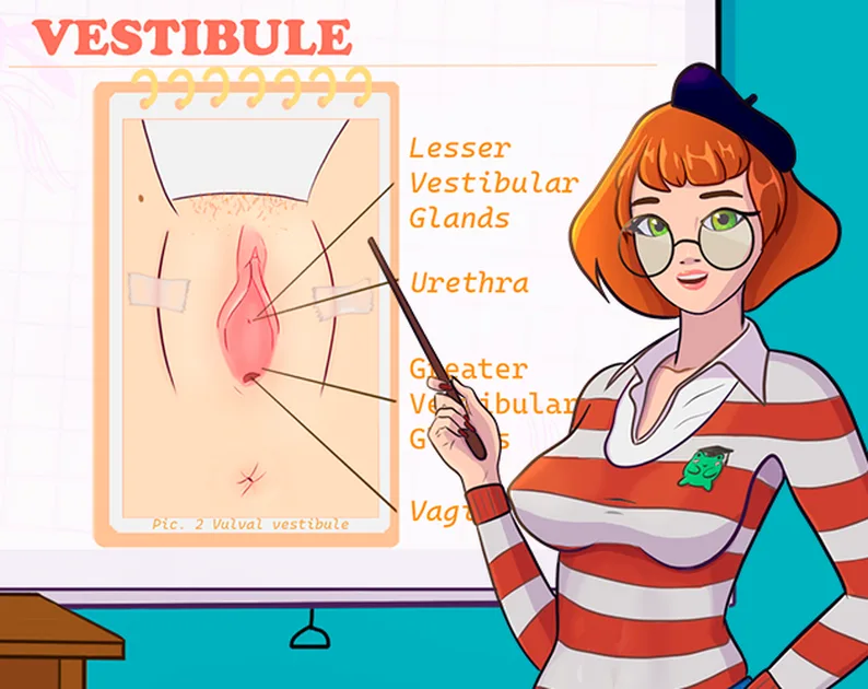 SexEd Course screenshot 3