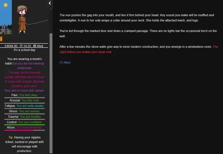 Degrees of Lewdity screenshot 1