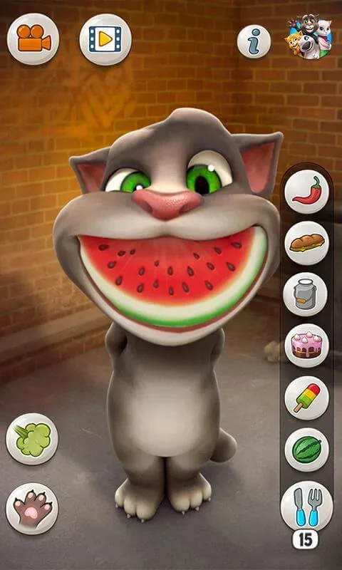 Talking Tom Cat screenshot 2