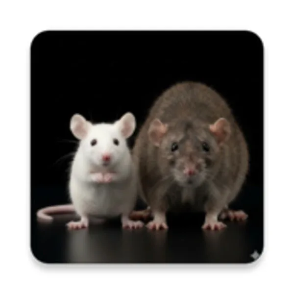 Mouse and Rat sounds (Android) icon