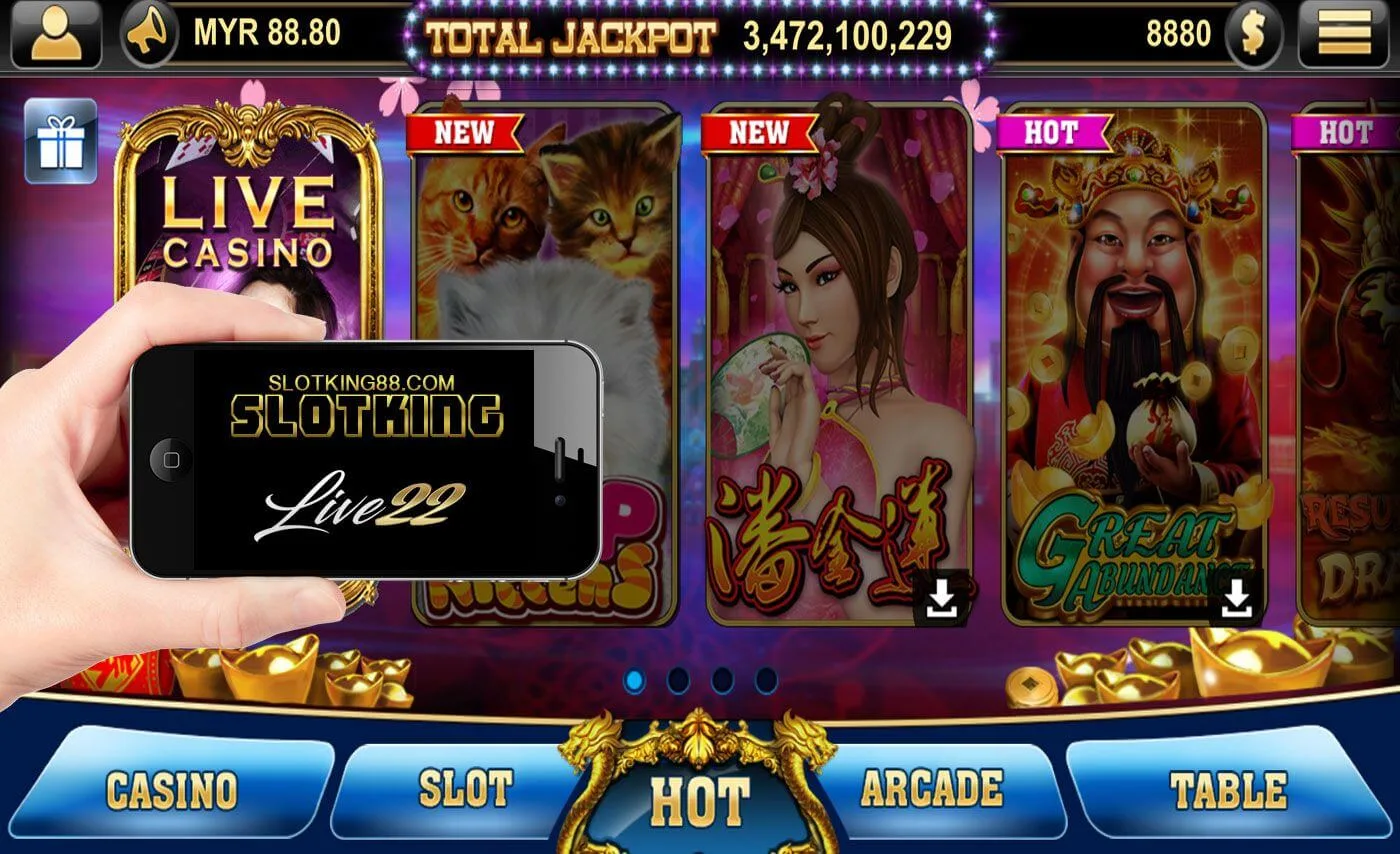 Live22 screenshot 4