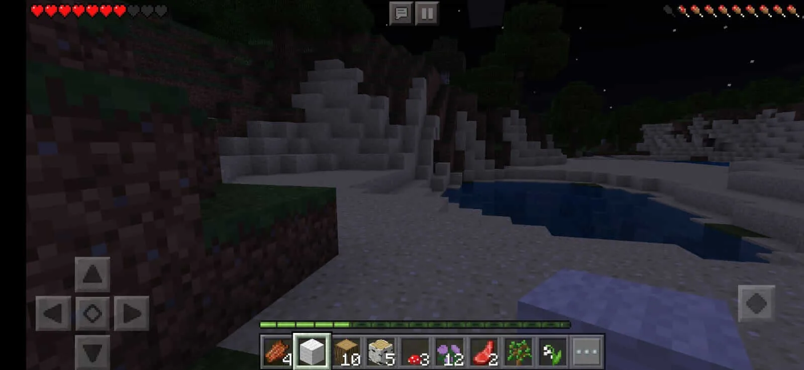 Minecraft Bedrock screenshot 2