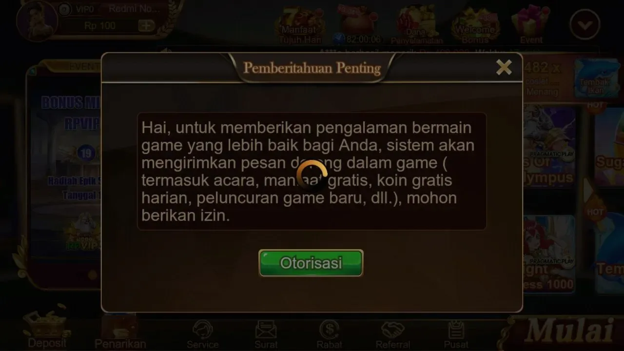 RPVIP5 screenshot 4
