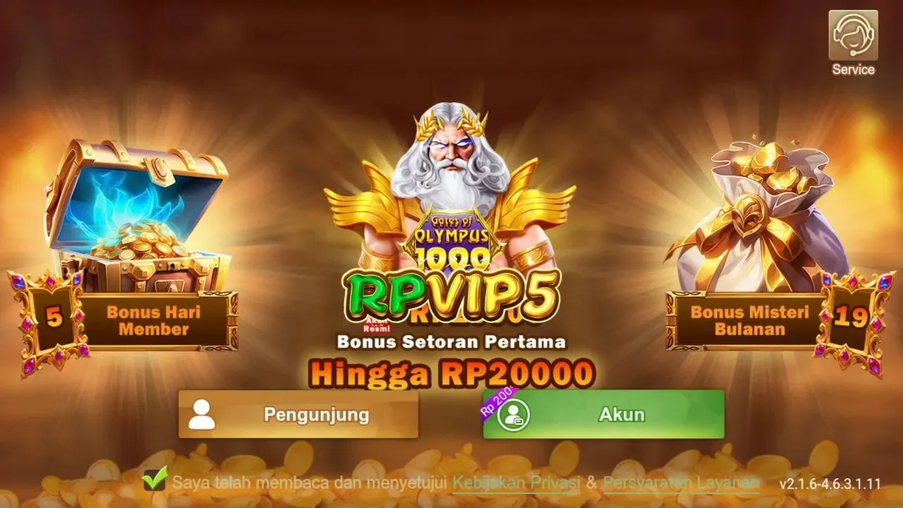 RPVIP5 screenshot 3