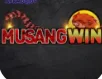 Musangwin icon