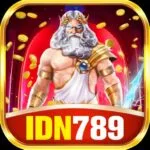 IDN789 icon