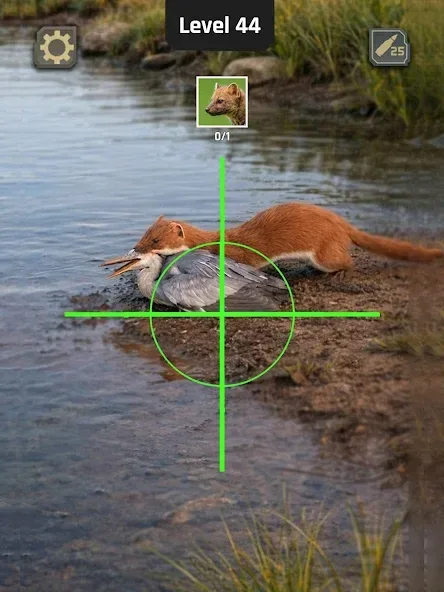 Animal Hunter: Wild Shooting screenshot 1