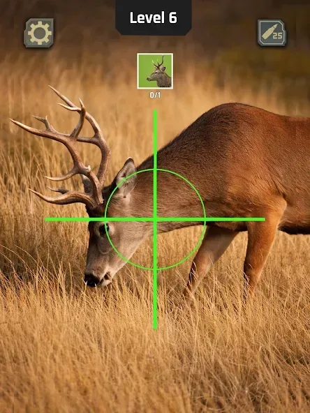 Animal Hunter: Wild Shooting screenshot 4