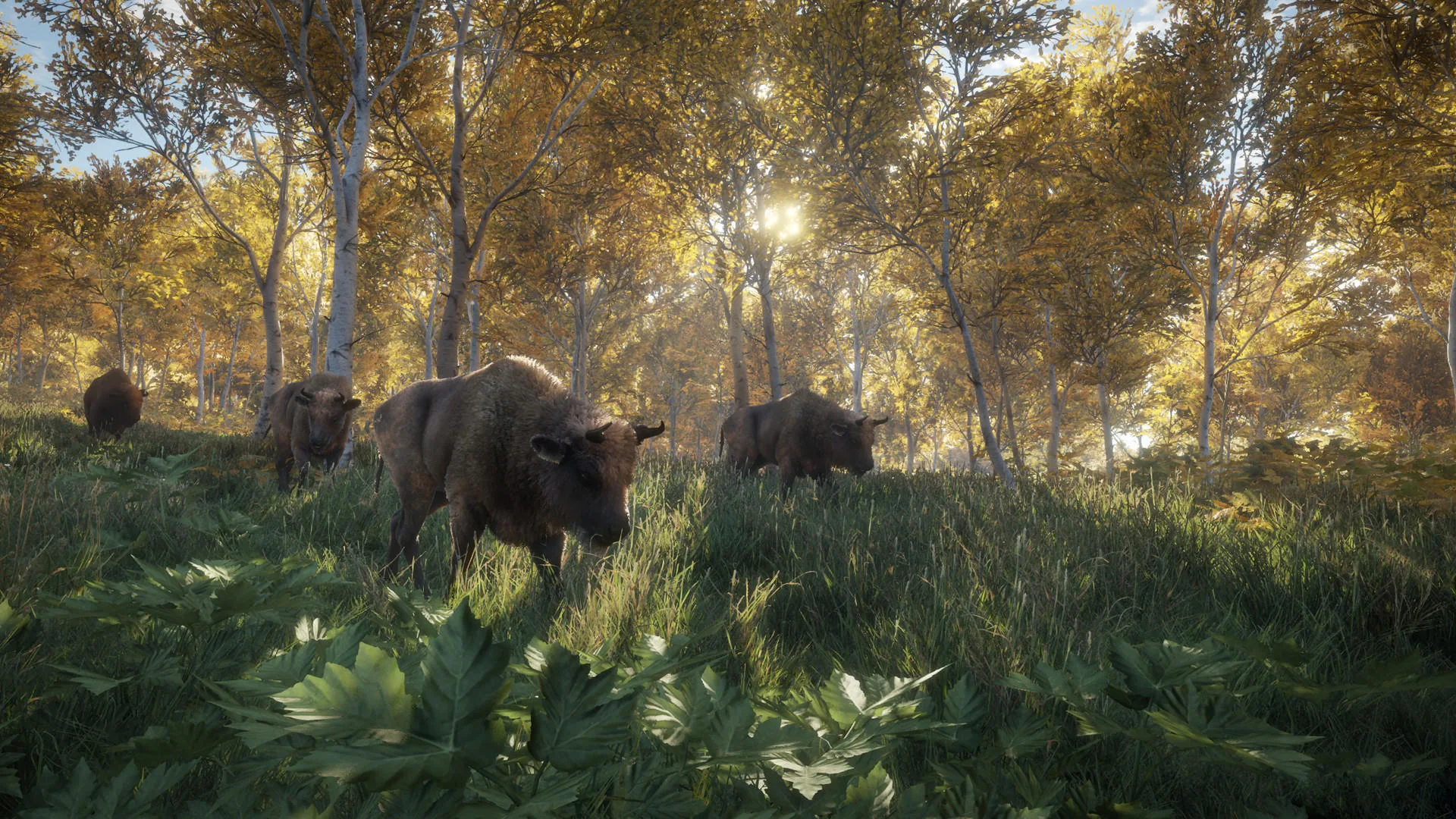 The Hunter: Call of the Wild screenshot 2