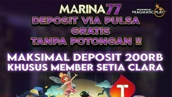 Marina77 screenshot 1