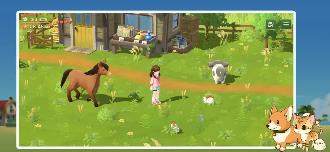 Harvest Moon: Home Sweet Home screenshot 5