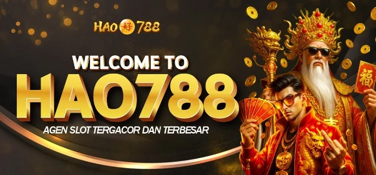 HAO788 screenshot 4