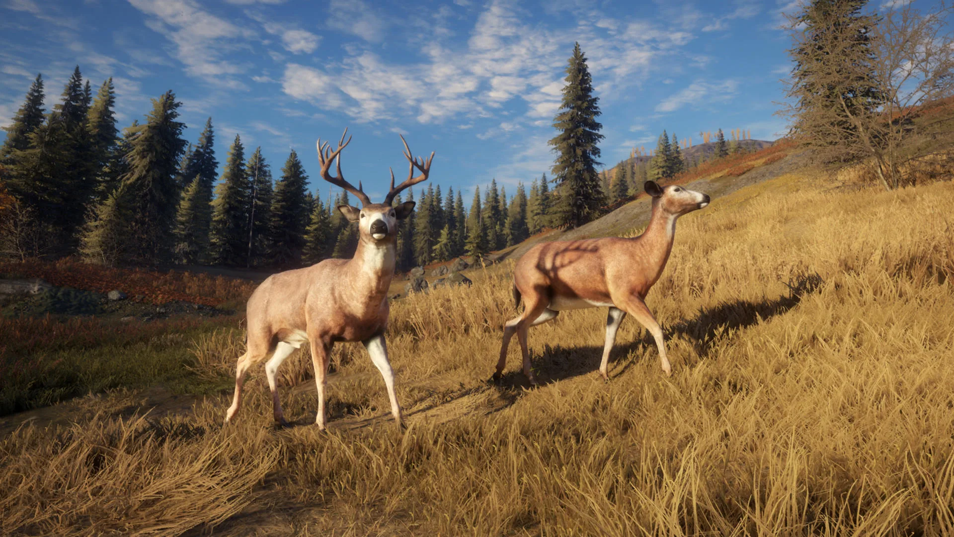 The Hunter: Call of the Wild screenshot 4