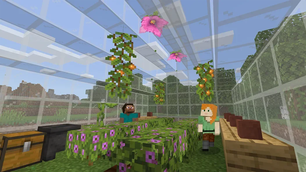 Minecraft: Education Edition screenshot 2