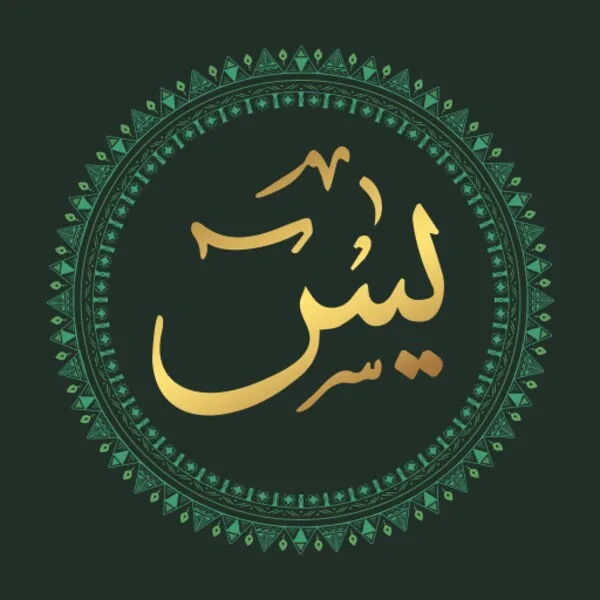 Surah Yaseen(سورة يس) (Android) icon