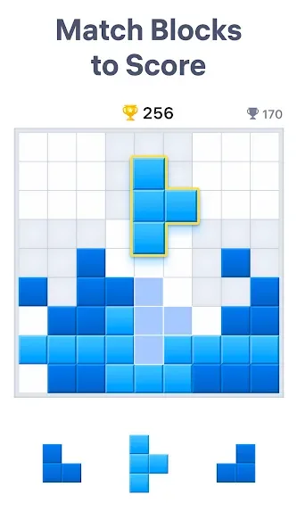Blockudoku: block puzzle game icon