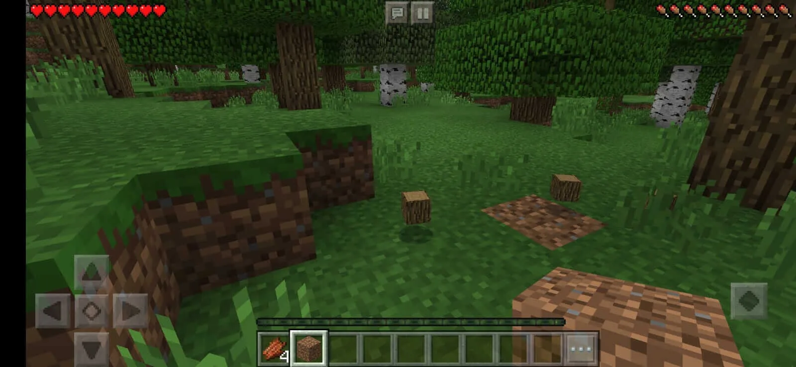 Minecraft Bedrock icon