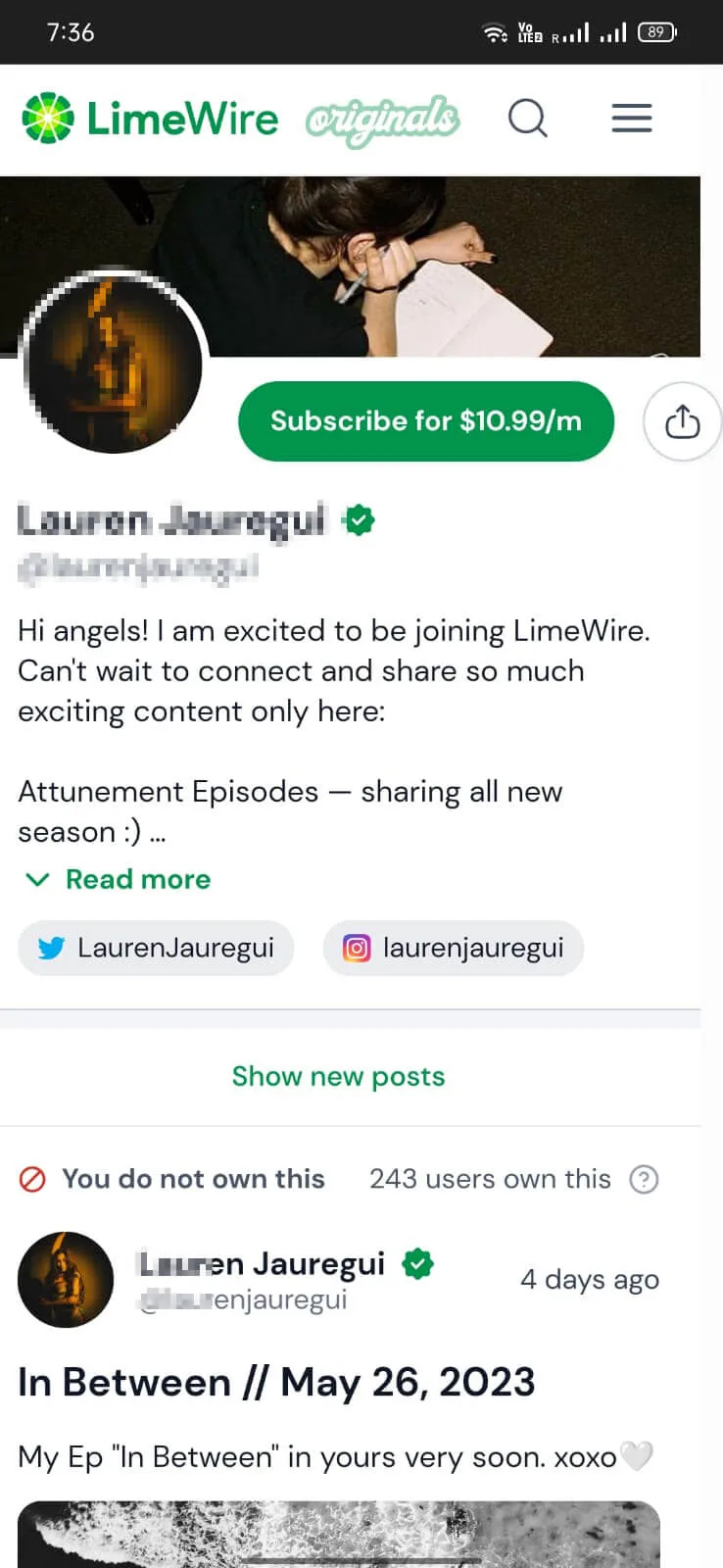 LimeWire screenshot 2