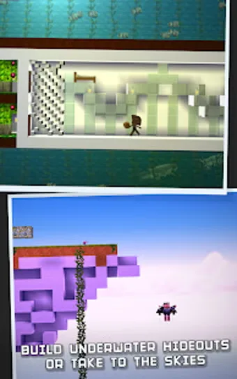 The Blockheads icon