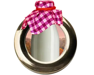 Holstein Girls icon