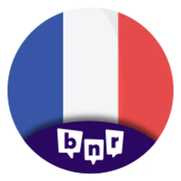 Learn French (Android) icon
