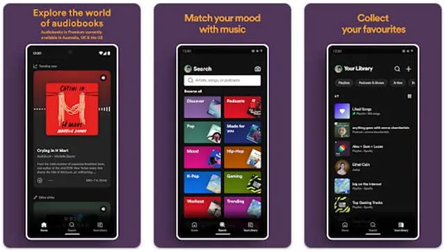 Spotify screenshot 3